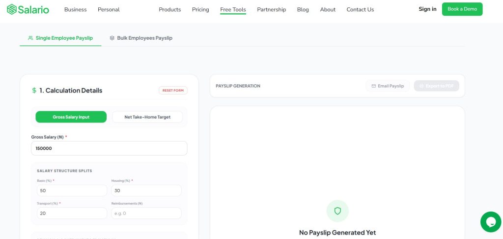 Professional Payslip
